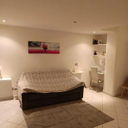 Baladi Monolocale In Centro *