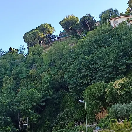 Baladi Monolocale In Centro San Remo