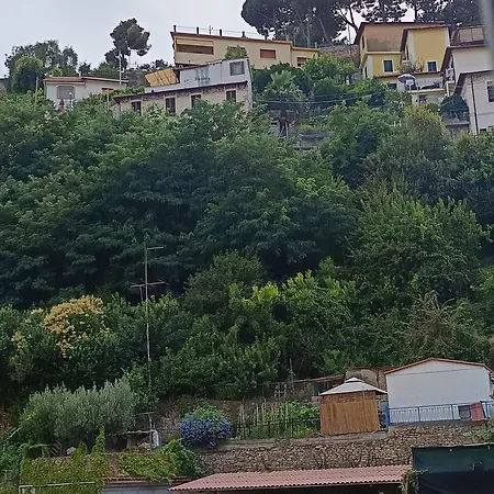 Baladi Monolocale In Centro San Remo