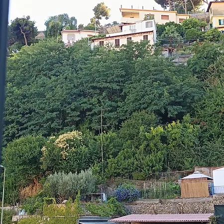 Baladi Monolocale In Centro דירה