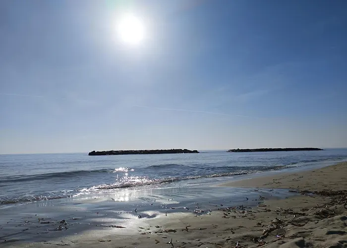 Apartment Baladi Monolocale In Centro