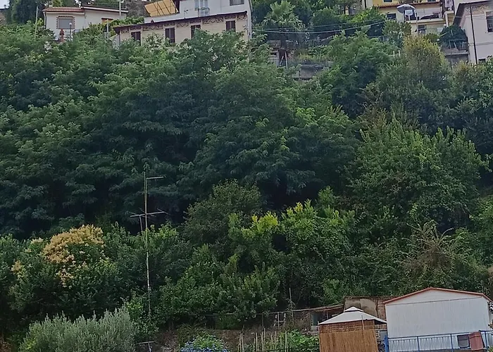 Baladi Monolocale In Centro Sanremo