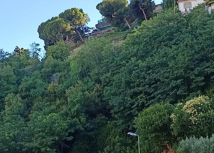 Baladi Monolocale In Centro Sanremo