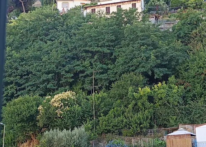 Baladi Monolocale In Centro Apartment